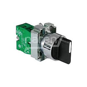 illuminated Selector Switch 2 way Green Technic Make 240